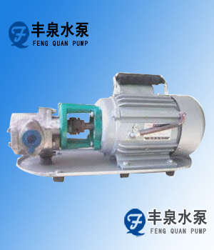 WCB手提式微型齒輪油泵