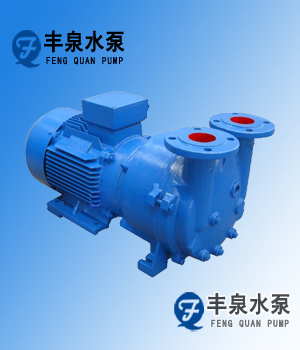SKA小型直聯(lián)水環(huán)式真空泵