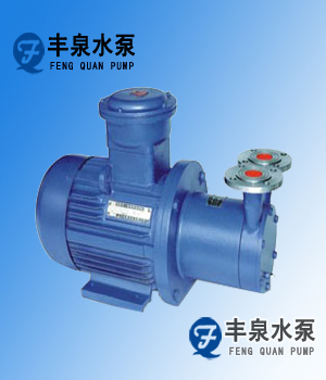 CWB型磁力驅動旋渦泵
