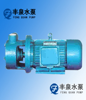 W型單級漩渦泵
