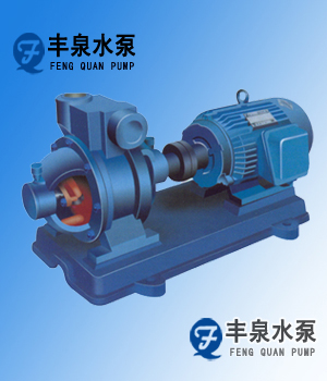 W型雙級漩渦泵